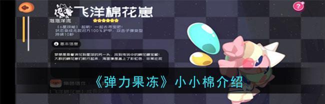 以弹力果冻登陆失败的原因解析（从游戏操作、网络环境到账号问题逐一剖析）