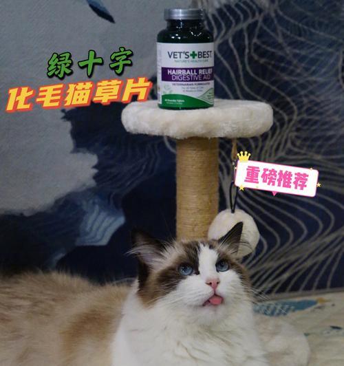 小森生活猫毛球神奇作用揭秘（探索猫毛球的游戏化生活之道）