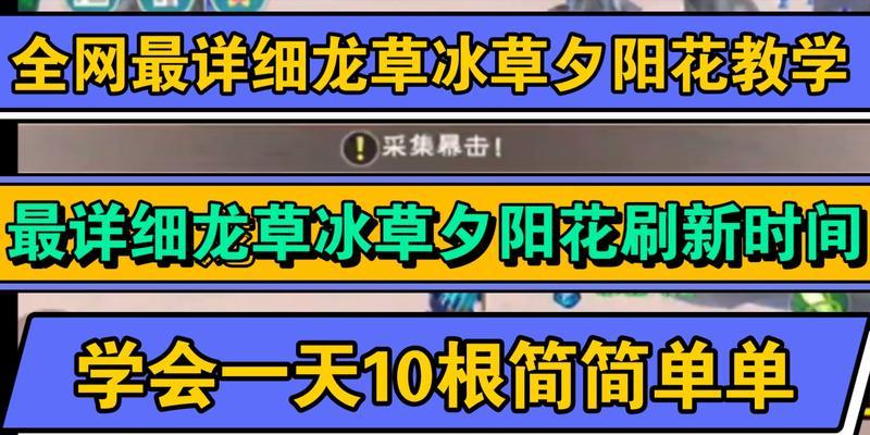 夕阳花位置在哪里？创造与魔法夕阳花位置详情一览？